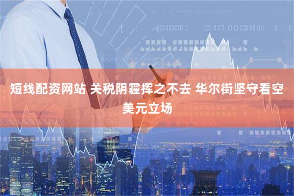 短线配资网站 关税阴霾挥之不去 华尔街坚守看空美元立场
